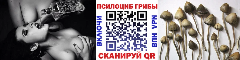 Галлюциногенные грибы прущие грибы  хочу   Ясногорск 